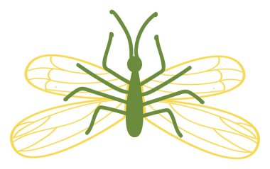 Beyaz arka planda wingsillustration vektör ile yeşil böcek
