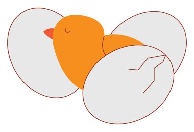 Beyaz arka planda eggsillustration vektör arasında küçük tavuk
