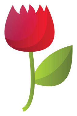 Beyaz bir arka planda kırmızı bir çiçek basit vektör Illustration