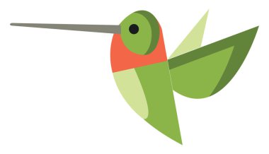 Yeşil Colibri kuş vektörü veya renkli Illustration