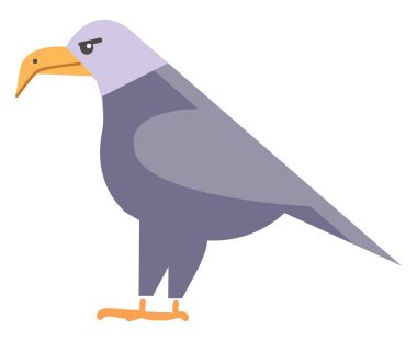 Yırtıcı kartal vektör veya renk illüstrasyon kuşlar