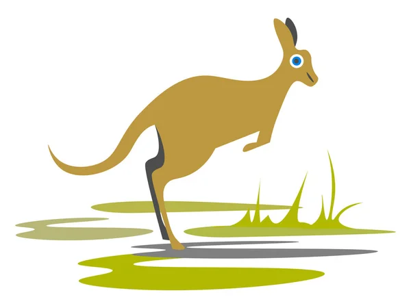 Kangaroo Wildillustration Vector White Background — Stock Vector