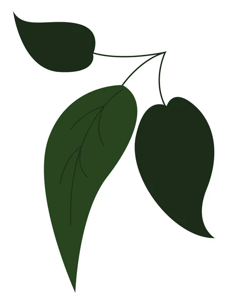 Trois Vecteurs Illustration Feuilles Vertes Sur Fond Blanc — Image vectorielle