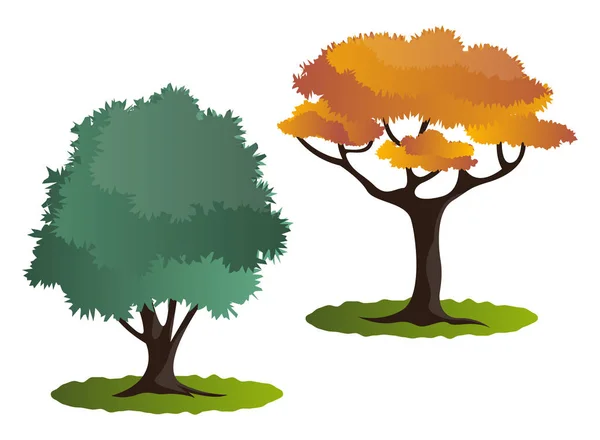 Zwei Herbst Baum Vektor Illustration Auf Weißem Hintergrund — Stockvektor