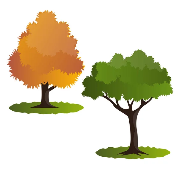 Illustration Vectorielle Deux Arbres Automne Sur Fond Blanc — Image vectorielle