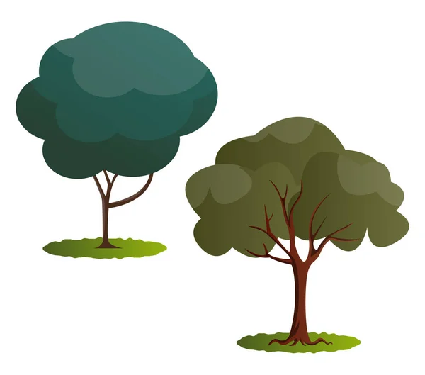 Par Gröna Träd Vektor Illustration Vit Bakgrund — Stock vektor