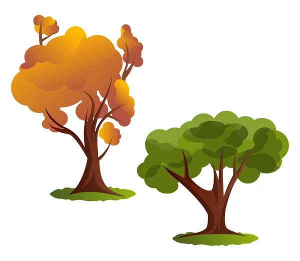 Dos Otoño Árbol Vector Ilustración Sobre Fondo Blanco — Vector de stock