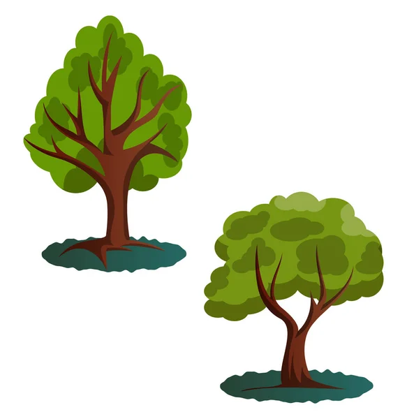 Пара Векторных Рисунков Зеленых Деревьев Белом Фоне — стоковый вектор