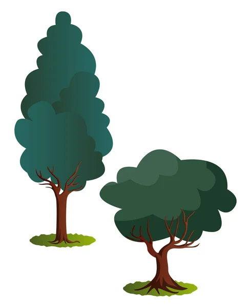 Quelques Arbres Verts Illustration Vectorielle Sur Fond Blanc — Image vectorielle