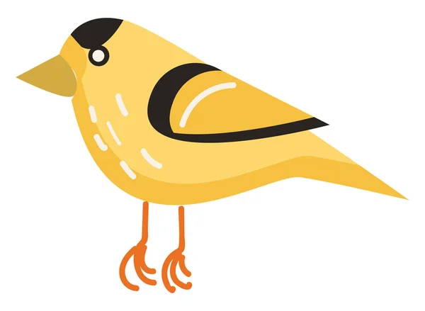 Yellow Black Bird Vector Color Illustration — Stock Vector