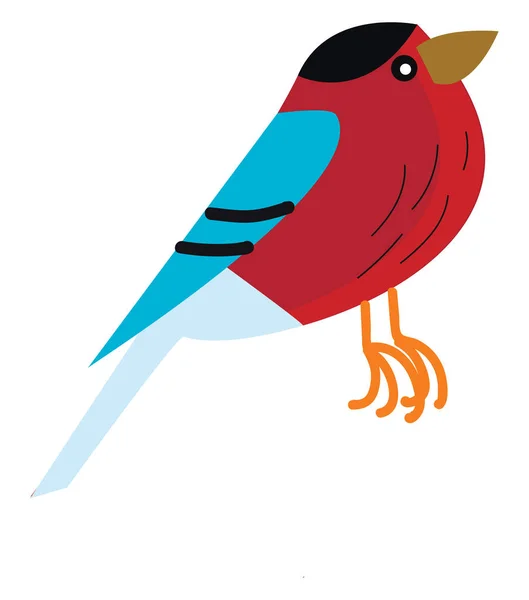 Colorful Small Bird Vector Color Illustration — Stock Vector