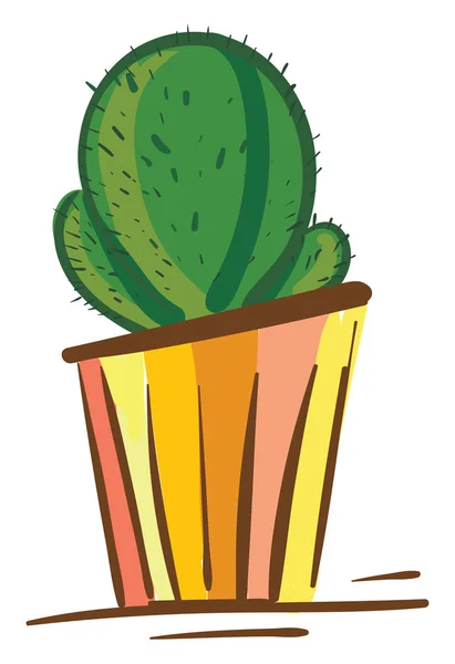 Egy gyönyörű kaktusz növény egy színes virágcserép vektor színe Dr — Stock Vector