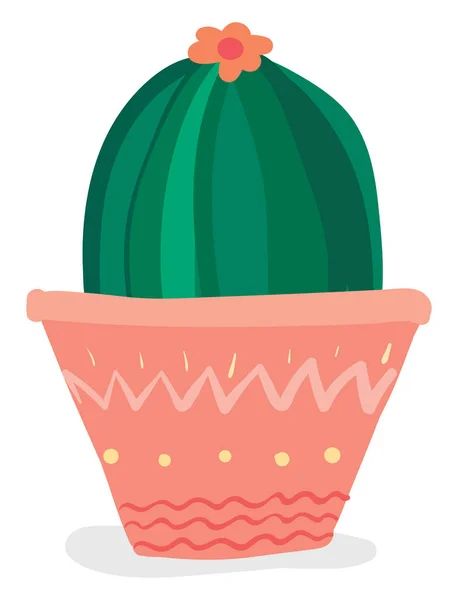 Kupola alakú kaktusznövény virággal a ház díszítésére — Stock Vector