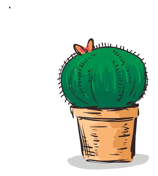 Dibujo de una hermosa maceta con planta de cactus interior y una mariposa — Vector de stock