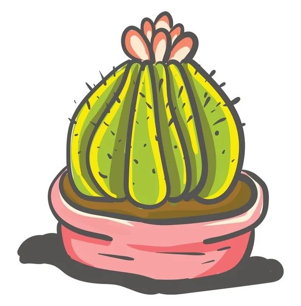 Pintura de un cactus mammillar con una hermosa flor en su t — Vector de stock