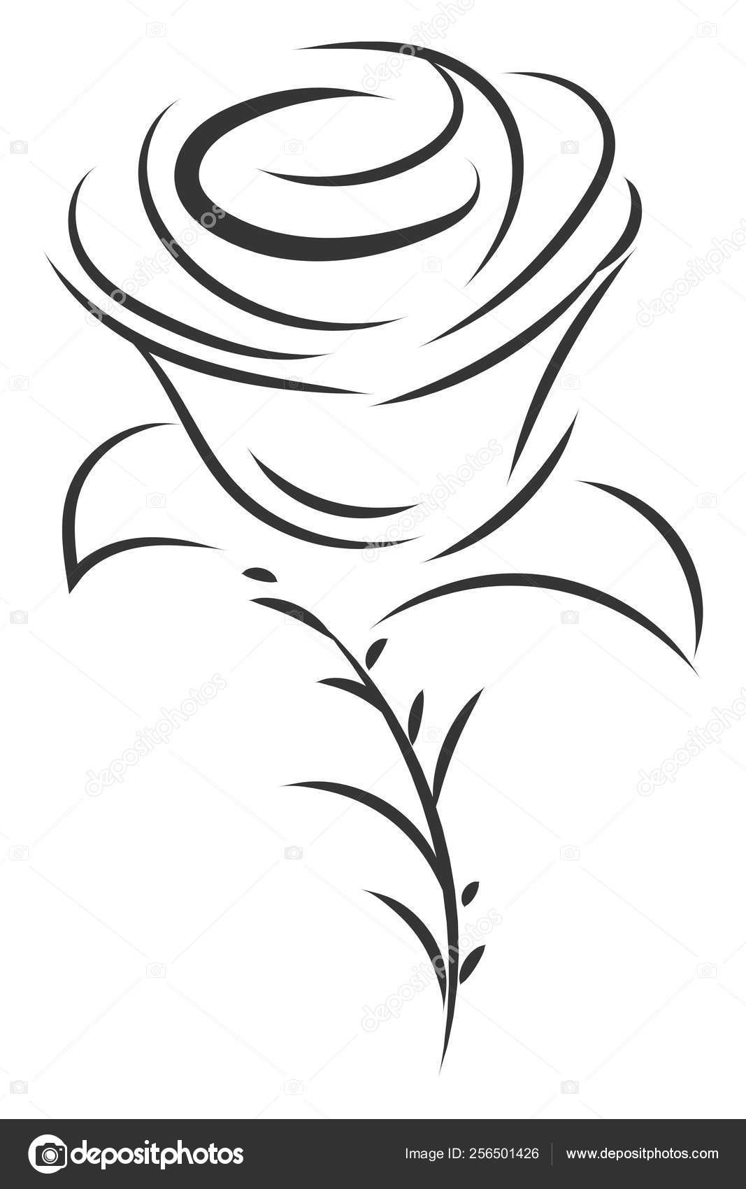 Simple Black White Sketch Rose Flower Vector Illustration White Background Stock Vector C Morphart 256501426