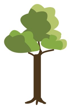 Uzun süreli ağaç vektörü veya renk çizimi