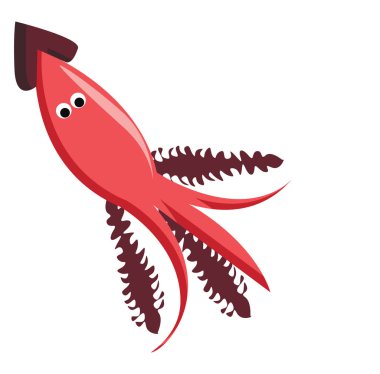 Squid bir deniz hayvan vektör veya renk illüstrasyon