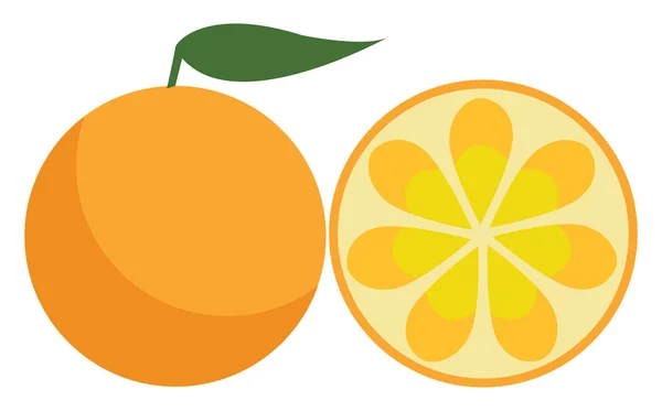 橙色果子向量或颜色例证 — 图库矢量图片