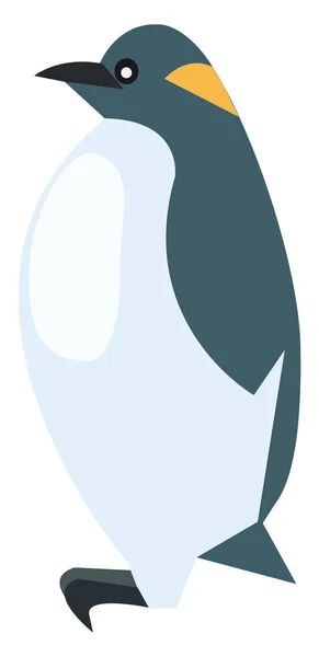 Een Mooie Pinguïn Vector Kleur Illustratie — Stockvector