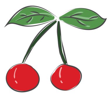 İki taze yaprakları vektör renk çizim veya illüstrasyon ile iki kiraz Çizim