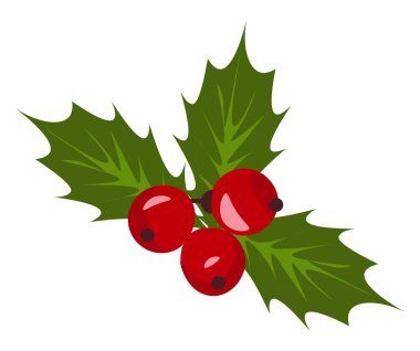 Noel holly berry ökseotu vektör veya renk illüstrasyon