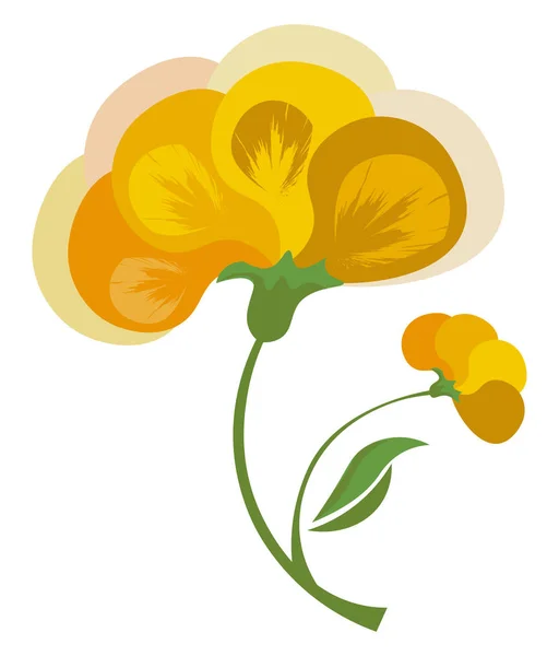 Hermosa Flor Amarilla Aislada Sobre Fondo Blanco — Vector de stock