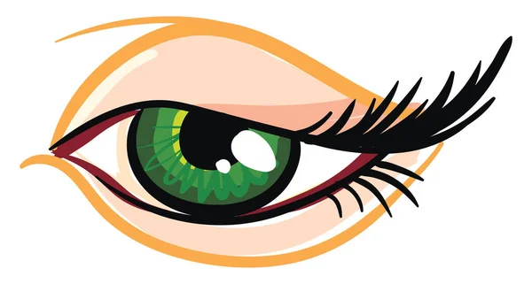 Hermoso Ojo Femenino Verde — Vector de stock