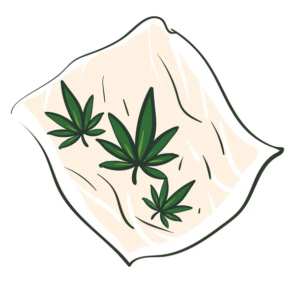 在白色背景的滚动纸插图载体上的大麻叶子 — 图库矢量图片