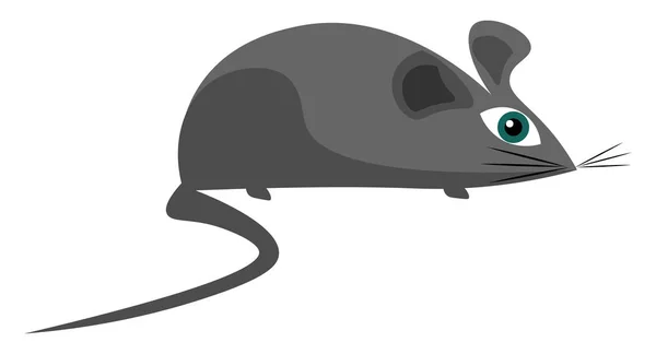 Malá Šedá Myš Ilustrace Vektor Bílém Pozadí — Stockový vektor
