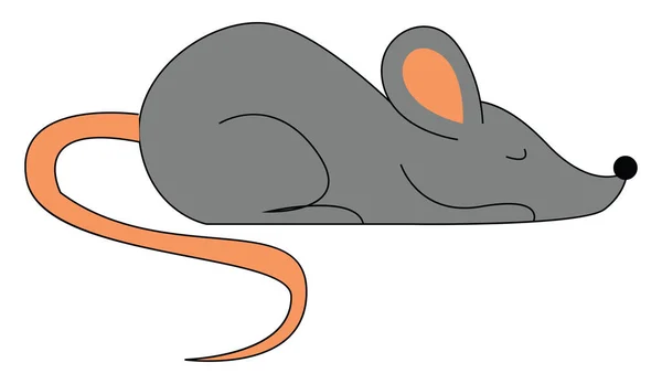 Mouse Sleeping Illustration Vector White Background — Stock Vector