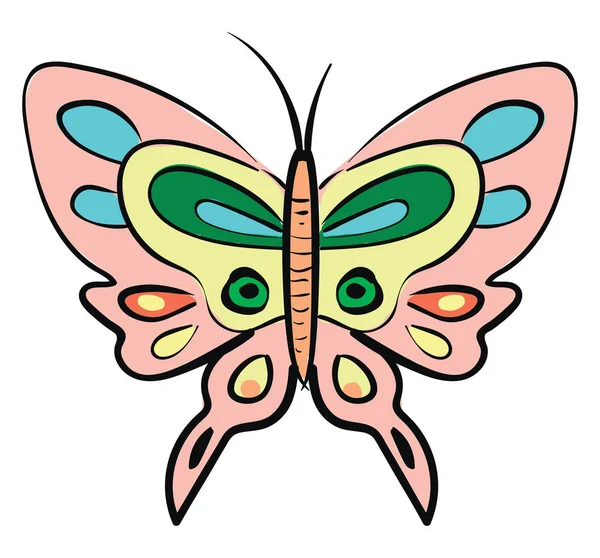 Different Color Buterfly Illustration Vector White Background — Stock Vector
