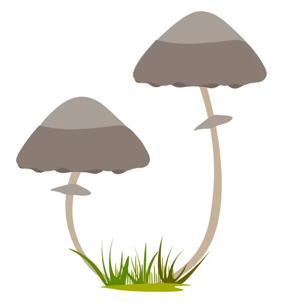 白色背景上两个蘑菇生长插图载体 — 图库矢量图片