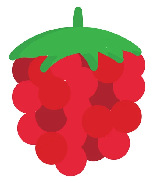 Vecteur Illustration Framboise Sur Fond Blanc — Image vectorielle