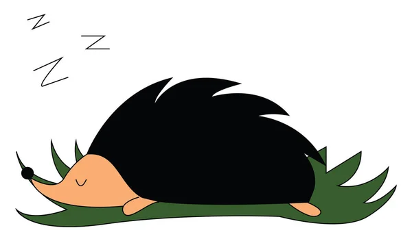 Sleeping Hedgehog Illustration Vector White Background — Stock Vector