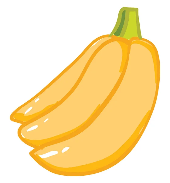 Bouquet Bananes Douces Entièrement Mûres Prêtes Être Servies Dessin Illustration — Image vectorielle