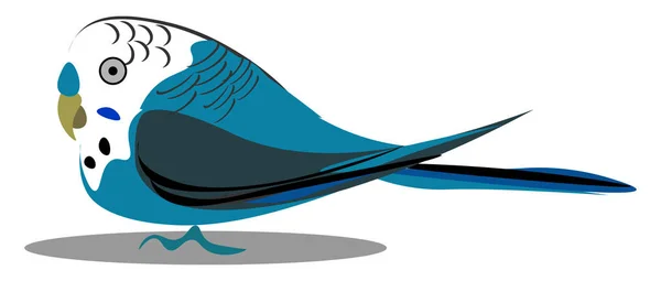 Petit Oiseau Buderigar Avec Des Plumes Bleues Dessin Illustration Vectoriel — Image vectorielle