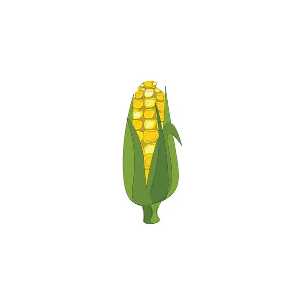 Rich Tasty Corn Which Fresh Farm Vector Color Drawing Illustration — Stock Vector