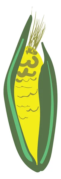 Milho Cru Esboço Áspero Amarelo Verde Cor Vetorial Desenho Ilustração — Vetor de Stock