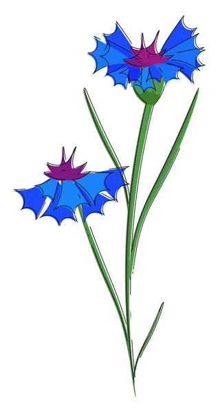 파란색 그리기 그림에 아름다운 옥수수 — 스톡 벡터