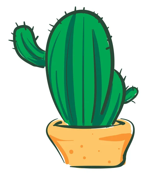 Długi Duży Kaktusy Pomarańczowym Garnku Który Jest Pełni Uprawiany Rysunek — Wektor stockowy