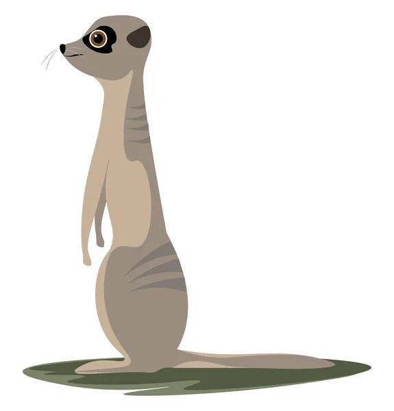 Ένα Χαριτωμένο Meerkat Στέκεται Και Κοιτάζοντας Προς Εμπρός Σχέδιο Διανυσματικό — Διανυσματικό Αρχείο