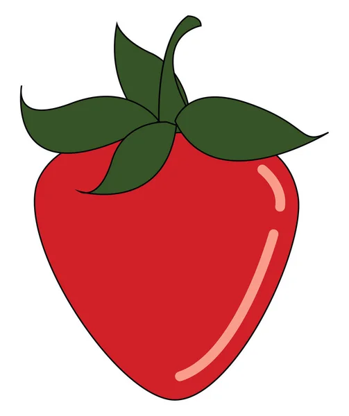 Délicieux Dessin Illustration Vecteur Fraise Rouge — Image vectorielle