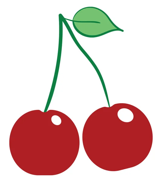 Två Små Körsbär Röd Färg Som Färska Vektor Färg Ritning — Stock vektor