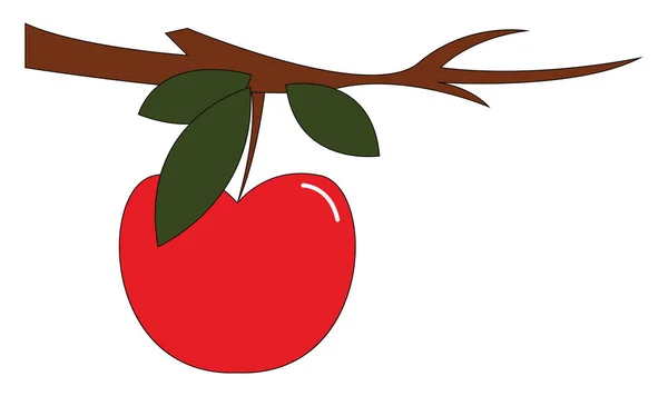 Clipart Fruta Manzana Con Tres Hojas Verdes Cuelga Rama Árboltiene — Vector de stock