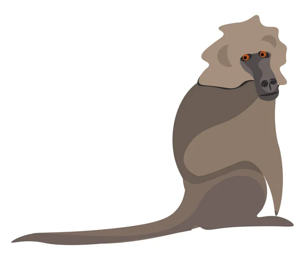 Clipart de un vector babuino o ilustración en color — Vector de stock
