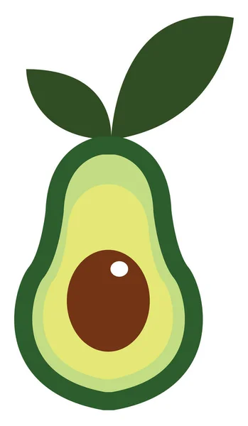 Cliparts eines halb geschnittenen Avocadofruchtvektors oder einer farbigen Illustration — Stockvektor
