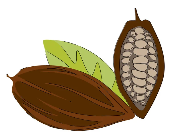 Cacao Nibs/Klipart z kakaa-vektorový nebo barevný obrázek — Stockový vektor