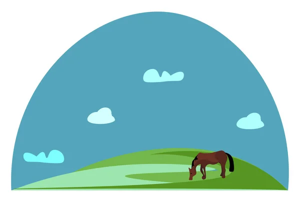 Portrait of a grazing brown horse in green grasslands vector or — Stock Vector