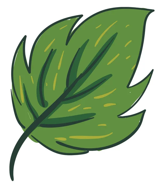 Cliparts eines eiförmigen grünen Blattes mit einem Rand kleine gelbe Linien — Stockvektor